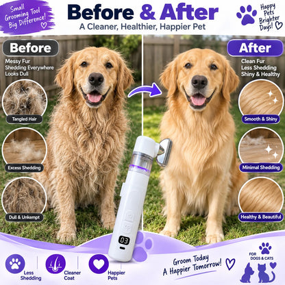 Two-in-one Electric Pet Hair Removal